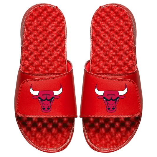 Chicago Bulls Primary Slides