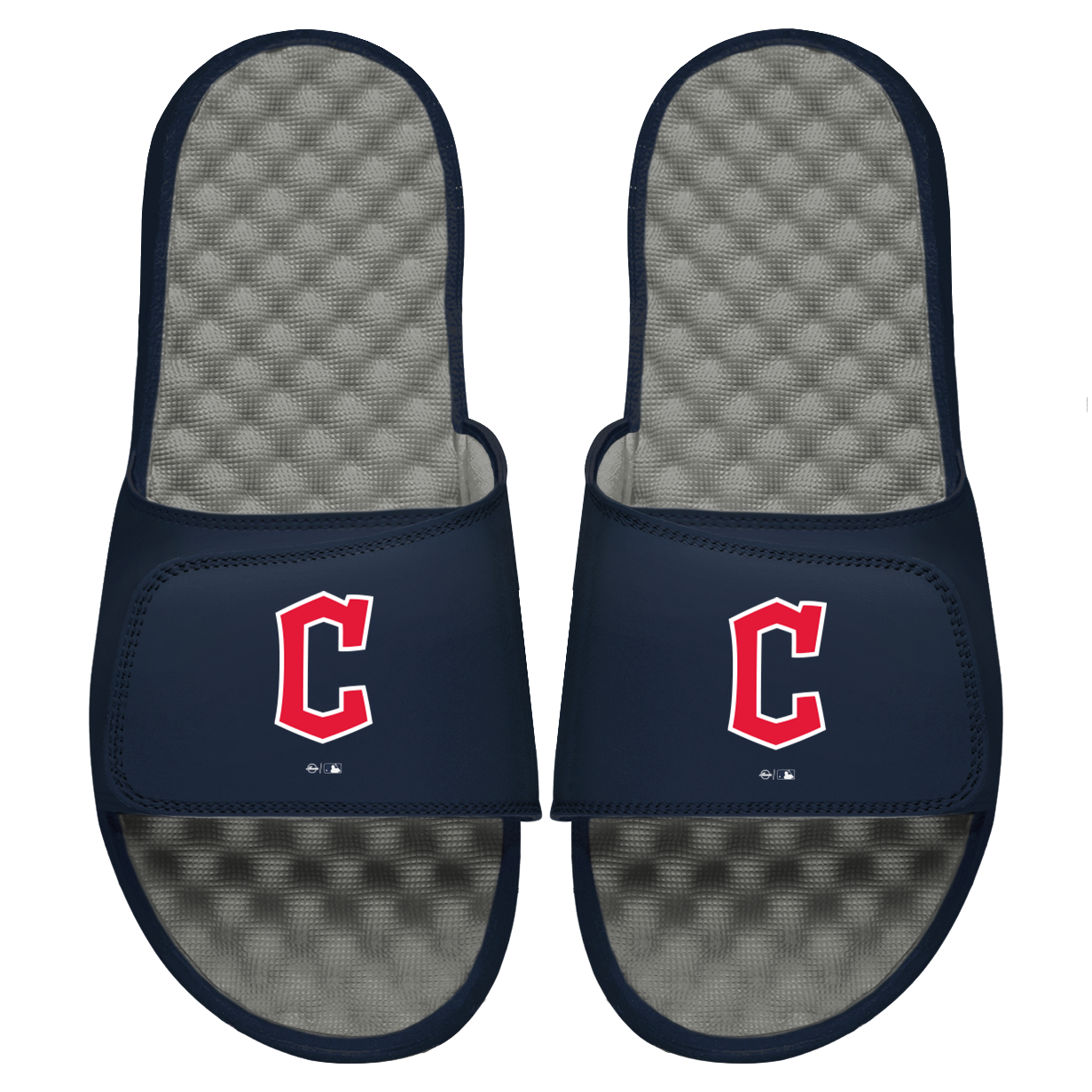 Guardians Primary Logo Slides