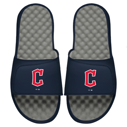 Guardians Primary Logo Slides