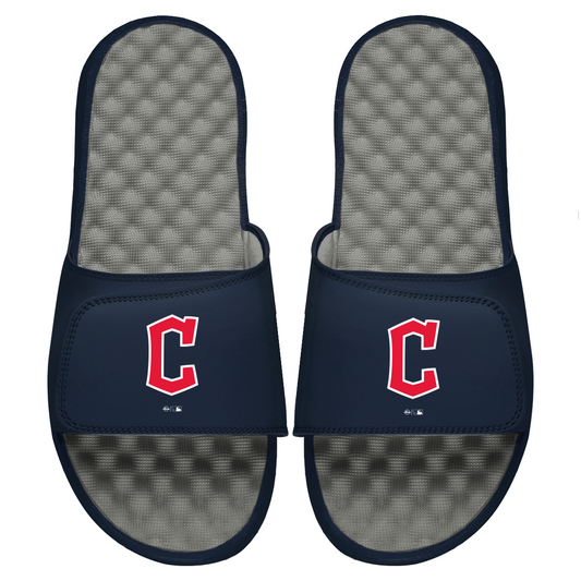 Guardians Primary Logo Slides