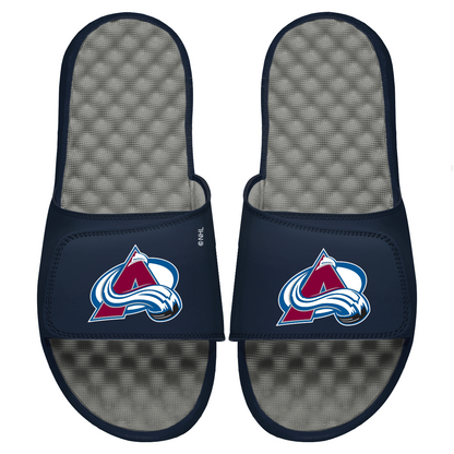 Avalanche Primary Logo Slides