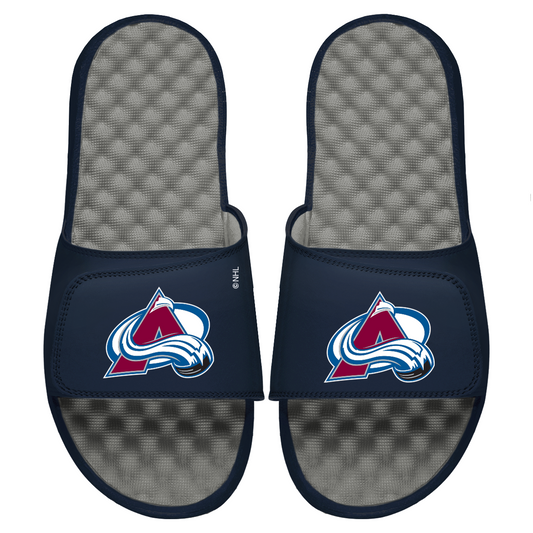 Avalanche Primary Logo Slides