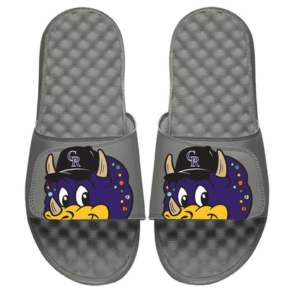 Colorado Rockies Mascot Slides