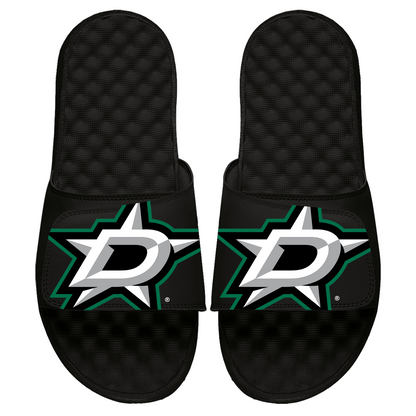 Dallas Stars Blown Up Slides