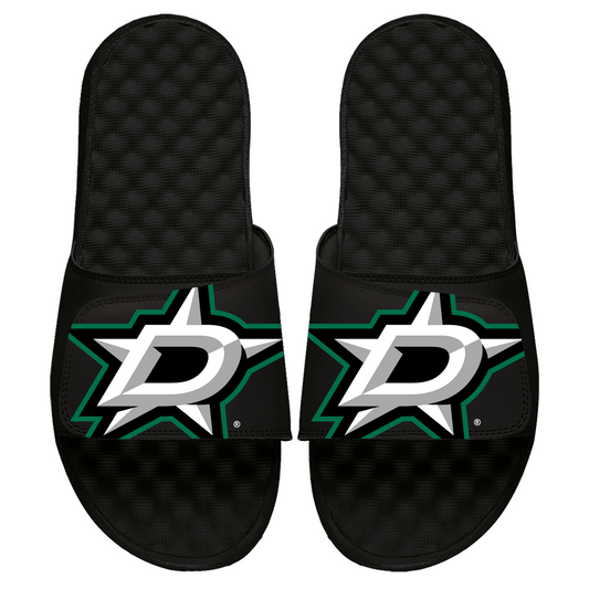 Dallas Stars Blown Up Slides