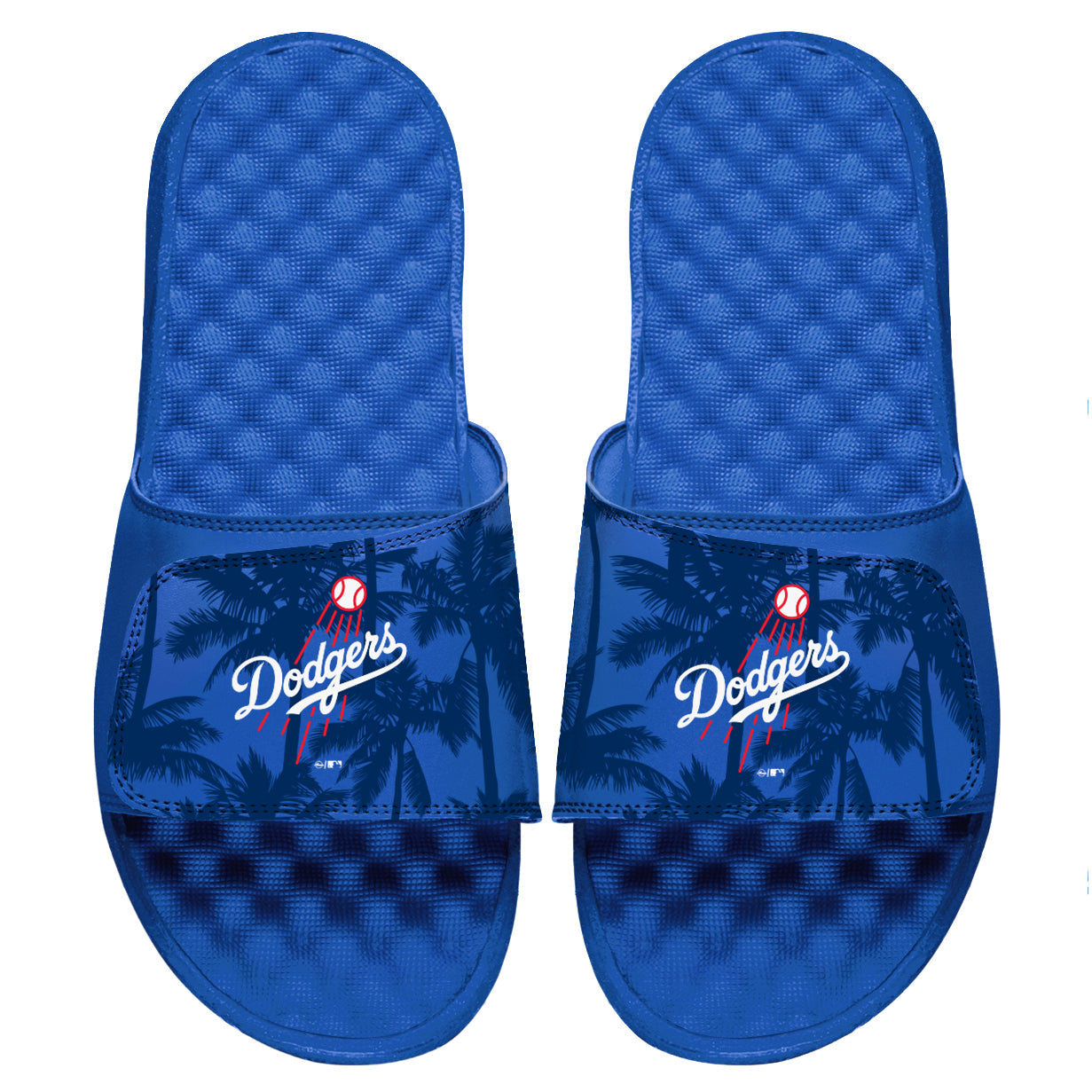 LA Dodgers Palm Tree Slides