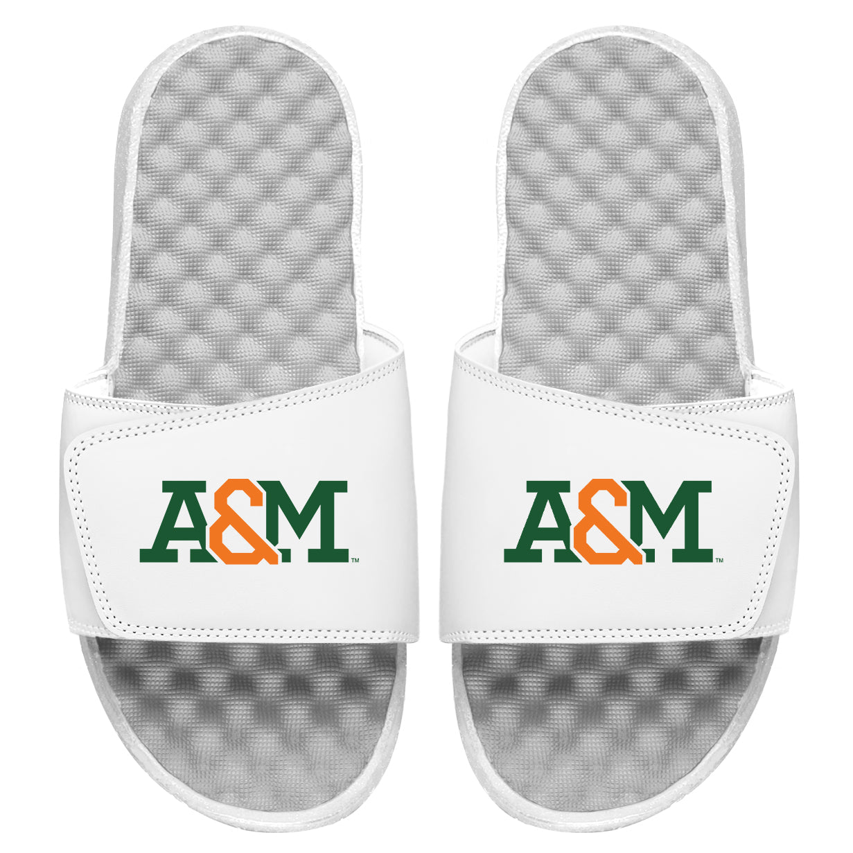 FAMU A&M Wordmark Slides
