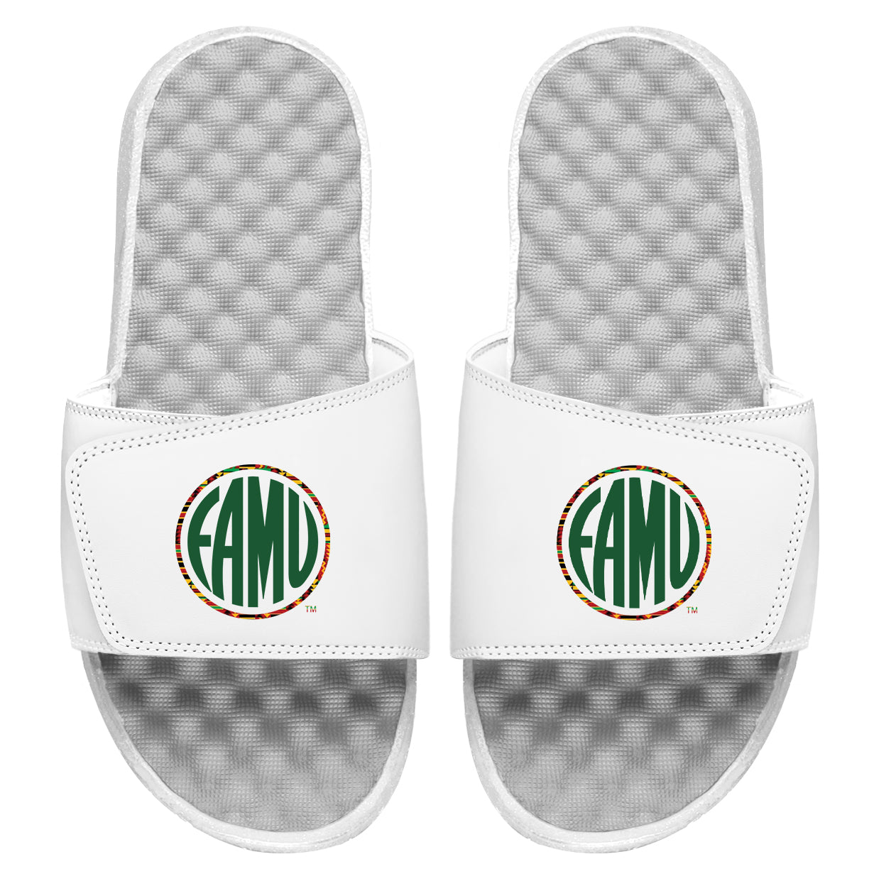 FAMU Circle Logo Slides