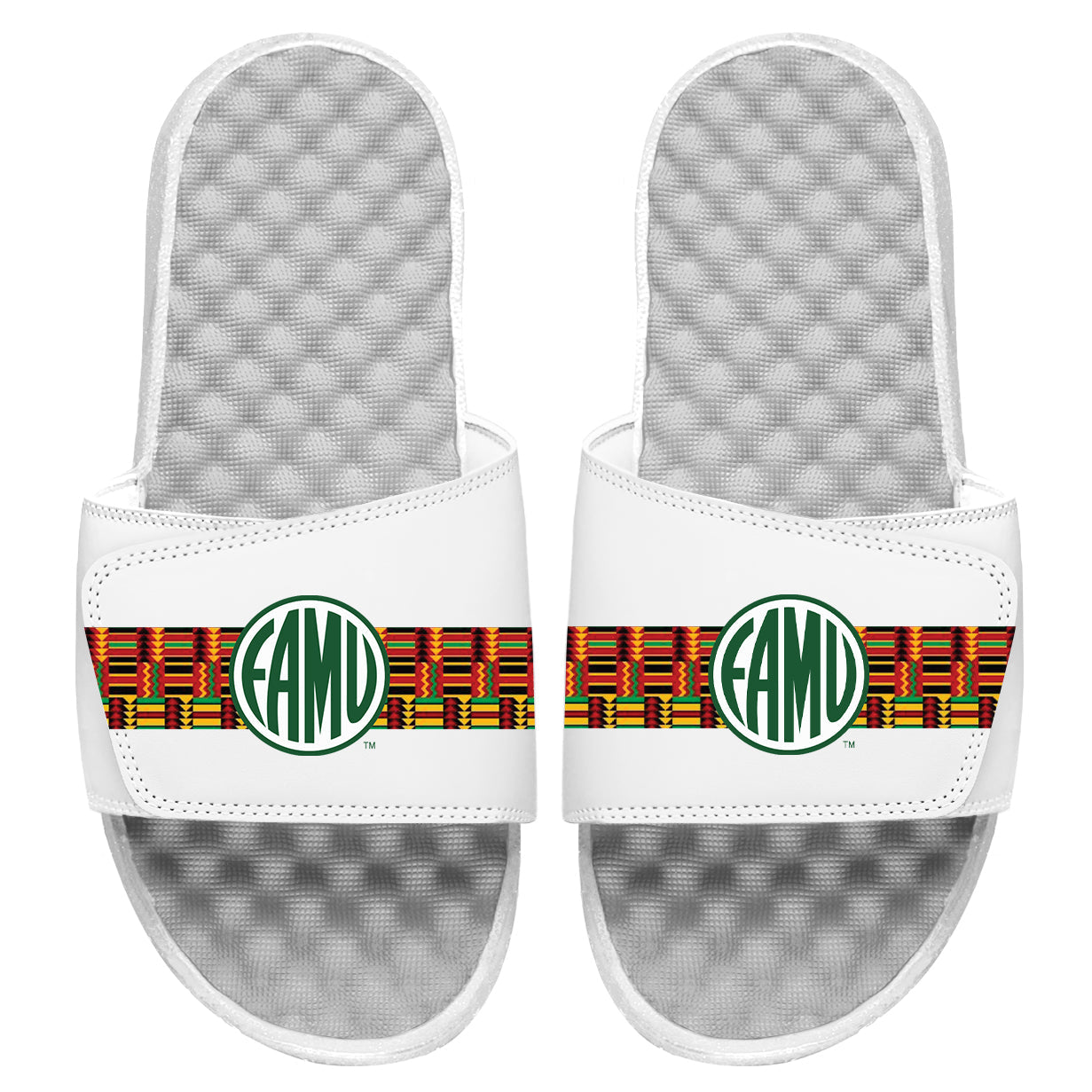 FAMU Circle Logo Stripes Slides