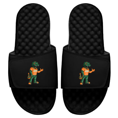 FAMU Mascot Slides