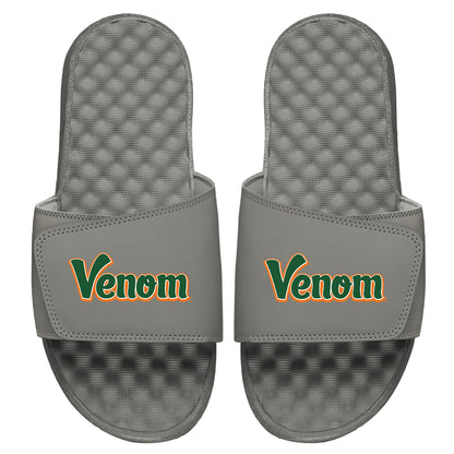 FAMU Venom Slides