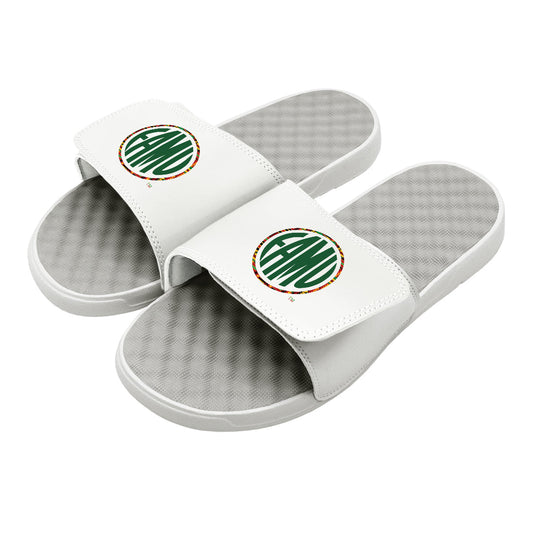 FAMU Circle Logo Slides