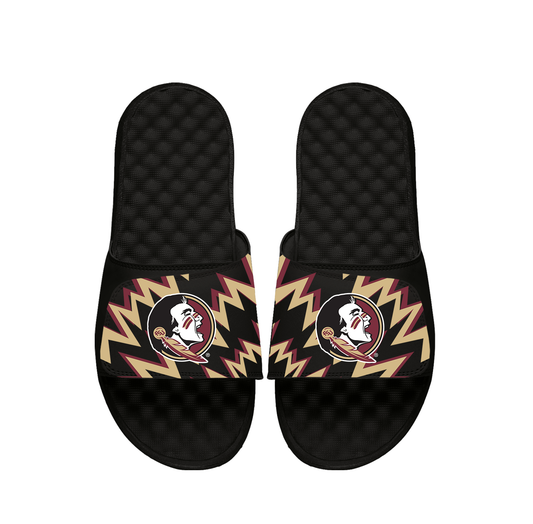 NCAA Florida State High Energy Slides