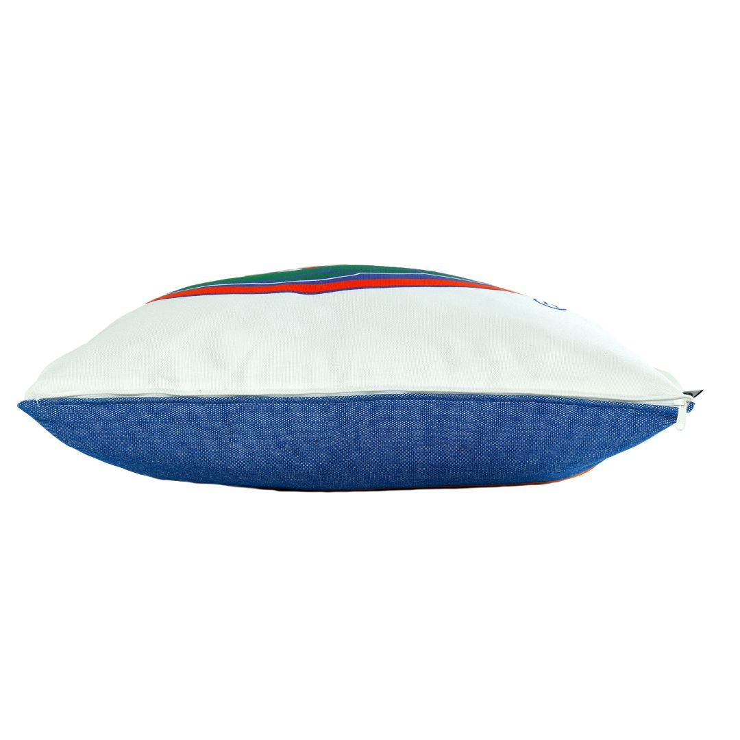 Florida Gators Mascot Throw Pillow