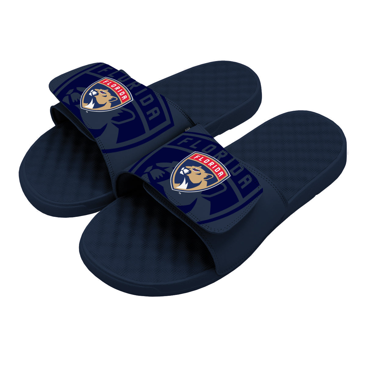 Florida Panthers OT Slides