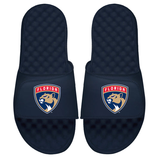 Florida Panthers Primary Slides