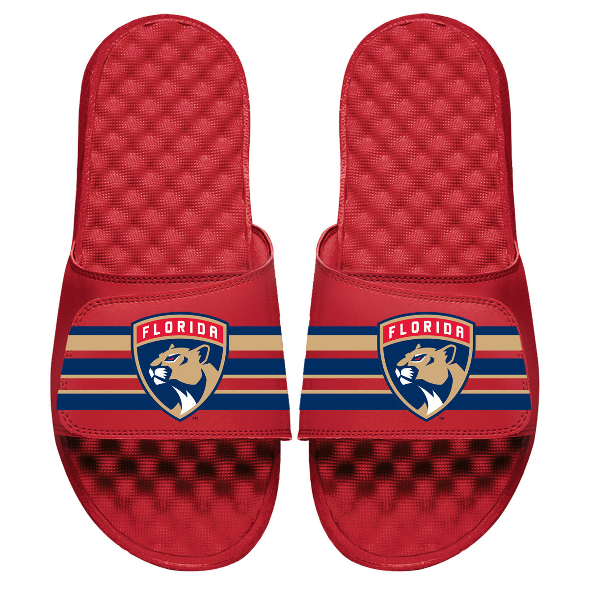 Florida Panthers Stripes Slides