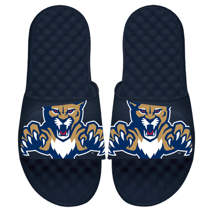 Florida Panthers Blown Up Slides