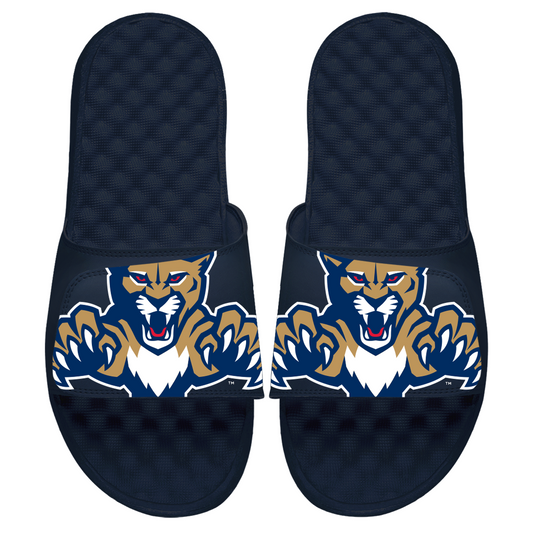 Florida Panthers Blown Up Slides