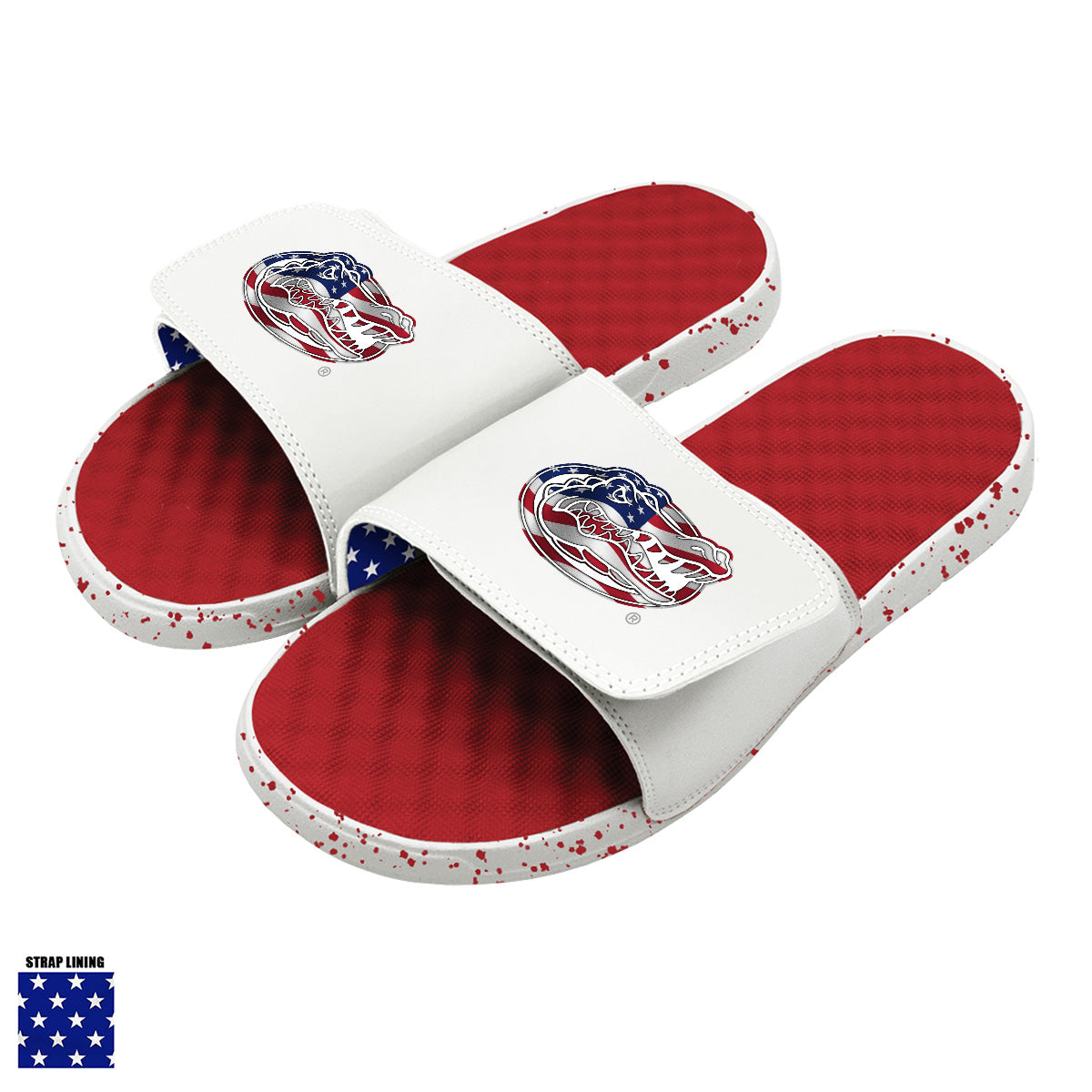 Florida Flag Americana Slides