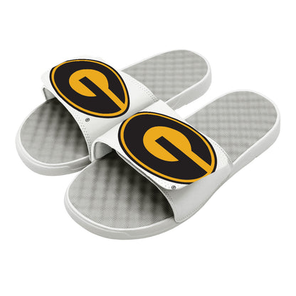 Grambling State Blown Up Primary Slides