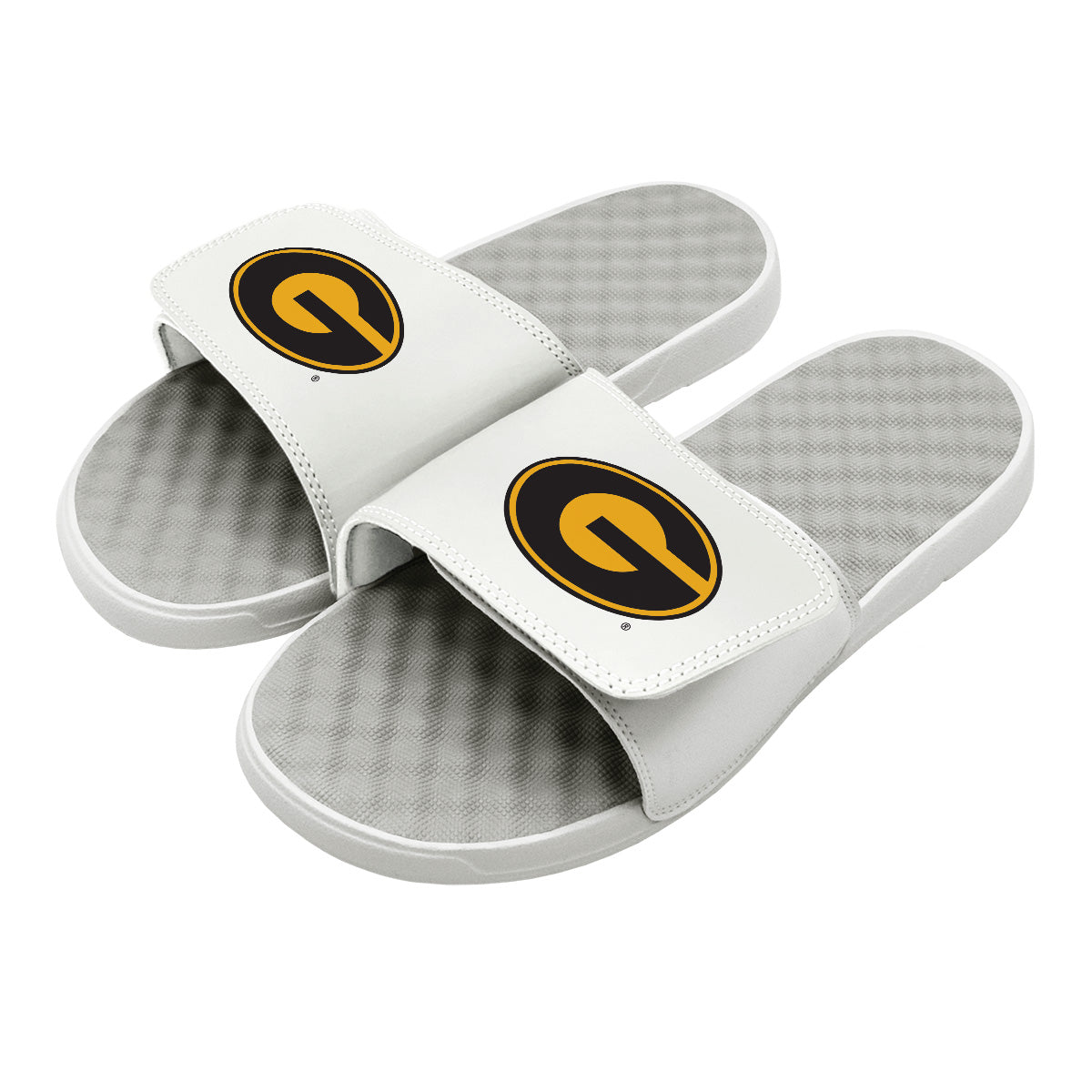 Grambling State Primary Slides