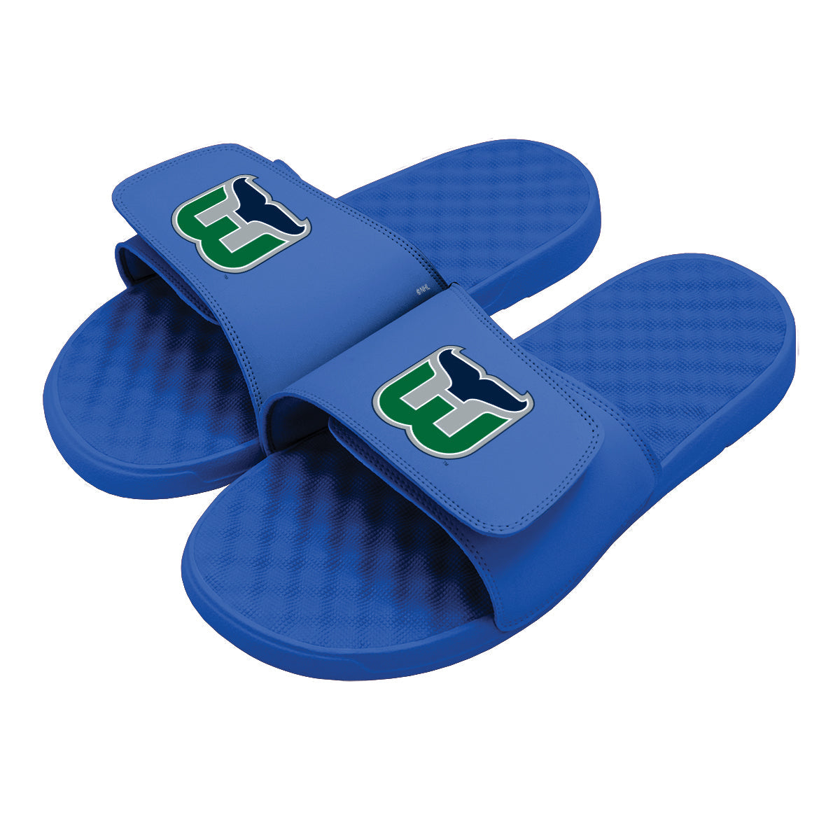 Hartford Whalers Vintage Logo Slides