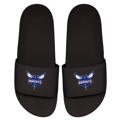 Hornets Primary Motto Slides