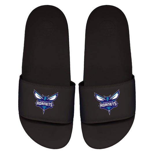 Hornets Primary Motto Slides