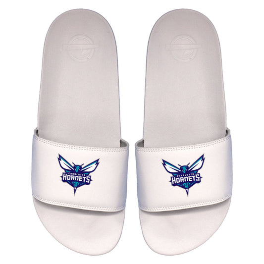 Hornets Primary Motto Slides