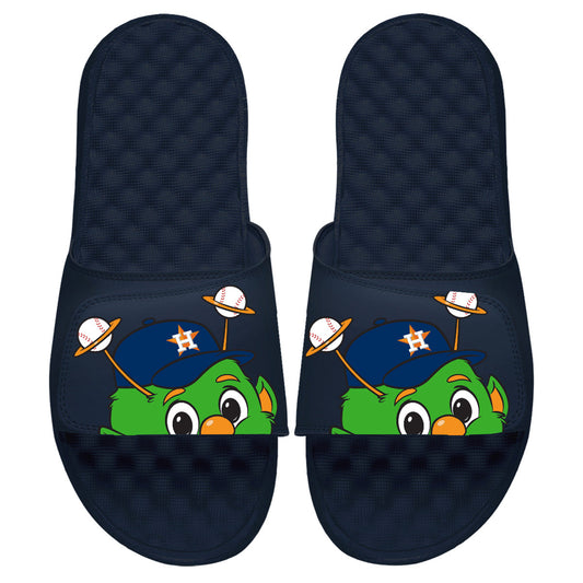 Houston Astros Mascot Slides