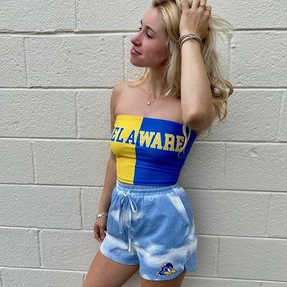 Delaware Two Tone Tube Top