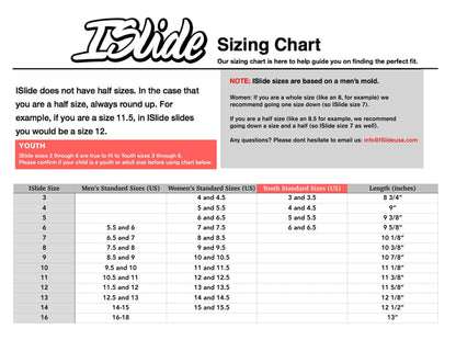 Detroit Pistons 1989 NBA Finals Slides