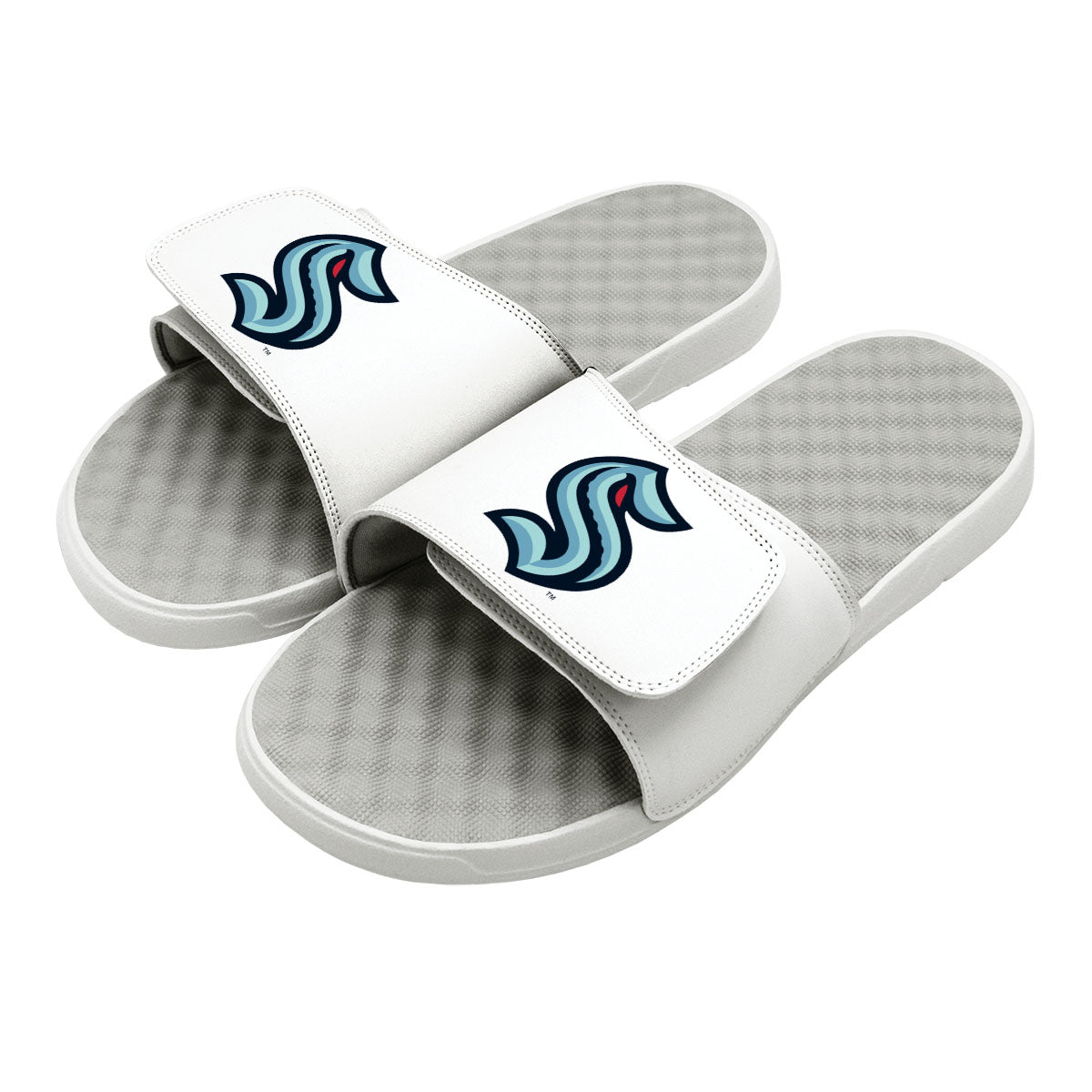 Kraken Primary Logo Slides