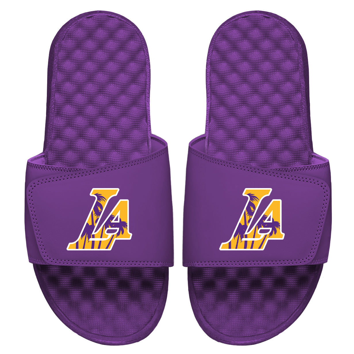 LA Lakers: Sunset Blvd Slides