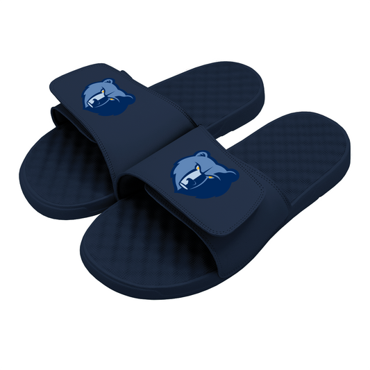 Memphis Grizzlies Primary Slides