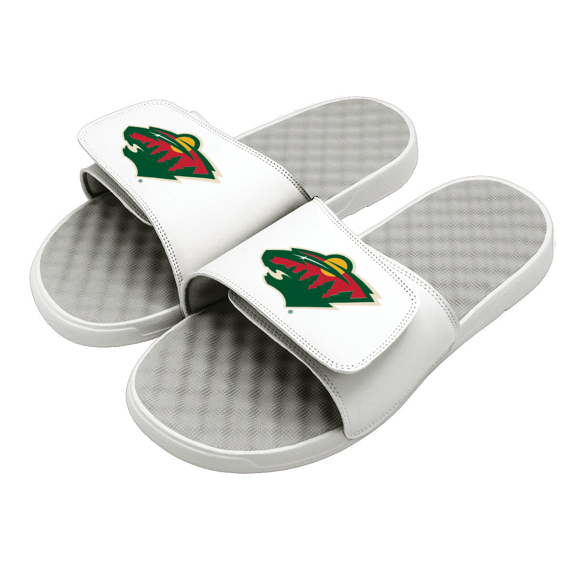 Minnesota Wild Primary Slides