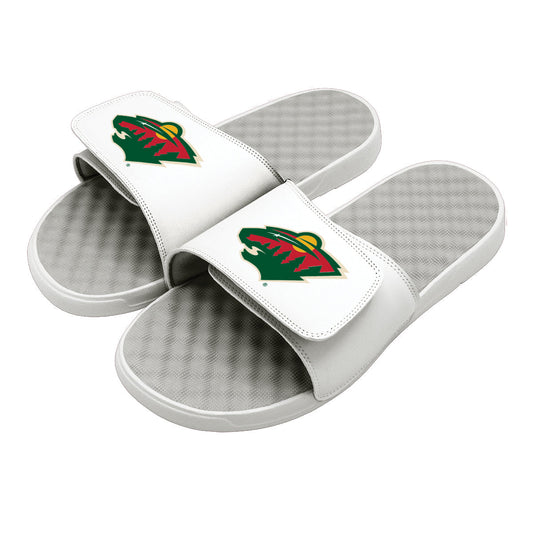 Minnesota Wild Primary Slides