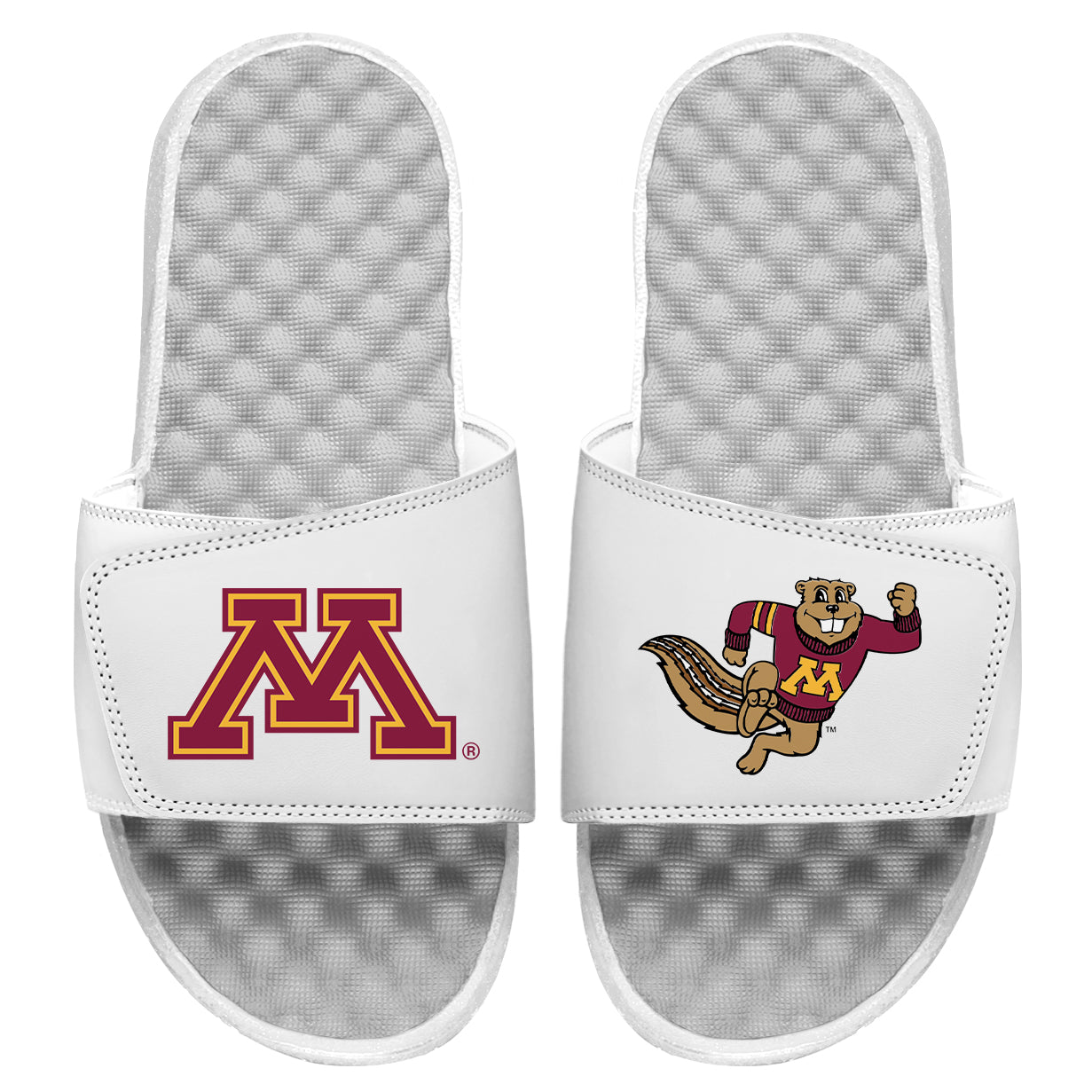 Minnesota Logos Split Slides