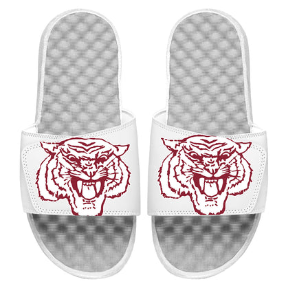 Morehouse Tiger Blown Up Slides