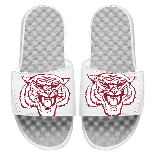 Morehouse Tiger Blown Up Slides