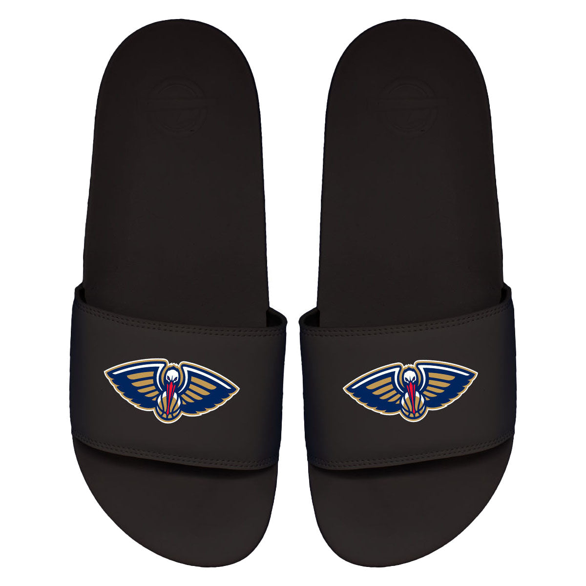 Pelicans Primary Motto Slides