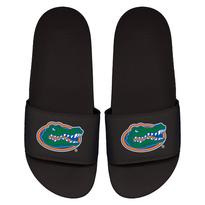 Florida Primary Motto Slides