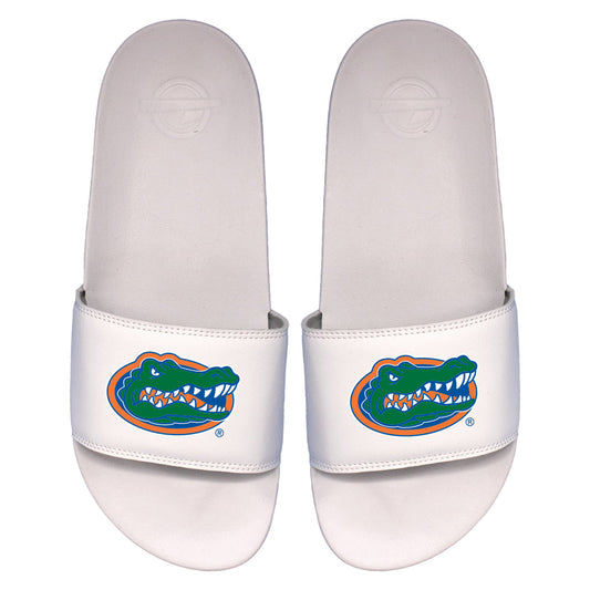 Florida Primary Motto Slides