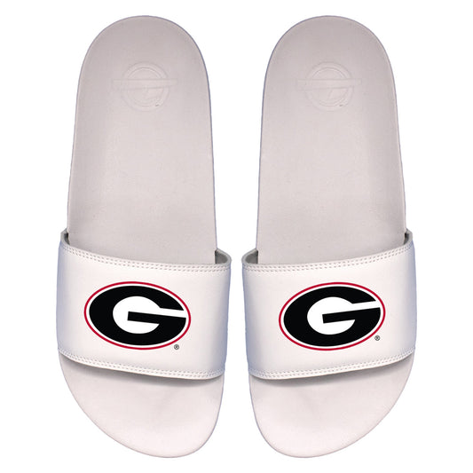 Georgia Primary Motto Slides