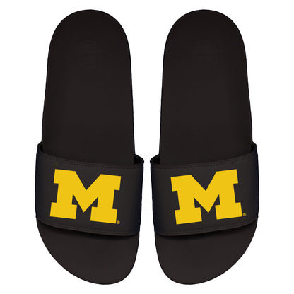 Michigan Primary Motto Slides