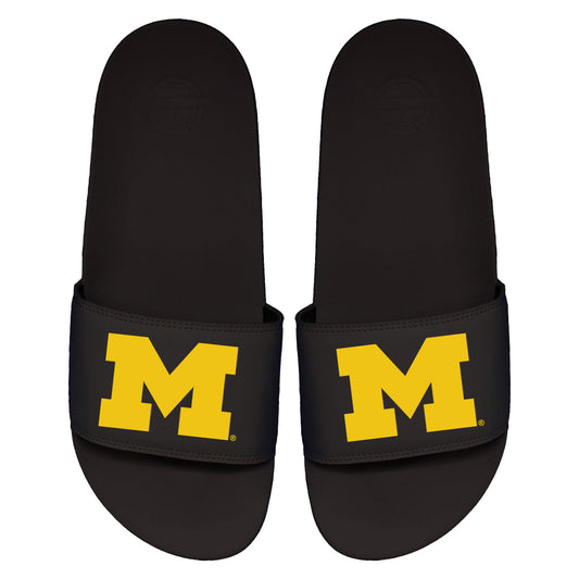 Michigan Primary Motto Slides