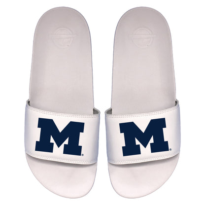 Michigan Primary Motto Slides