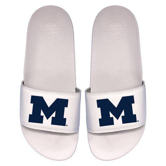 Michigan Primary Motto Slides