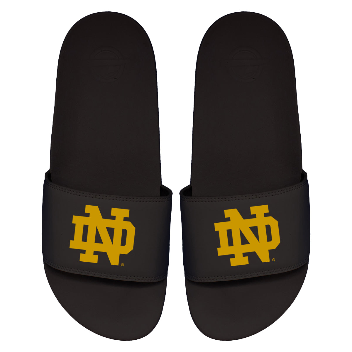 Notre Dame Primary Motto Slides